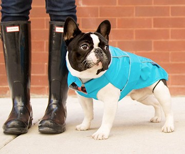 Django City Slicker Raincoat for Dogs Django City Slicker Raincoat for Dogs