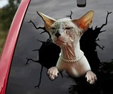 3D Animal Car Window Decals