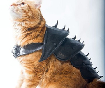 3D Printed Cat Armor 3D Printed Cat Armor