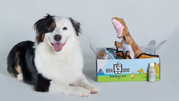 BoxDog Custom Dog Subscription Boxes BoxDog Custom Dog Subscription Boxes