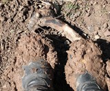 Gore-Tex Boots