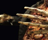 Movie Quality Zombie Costume
