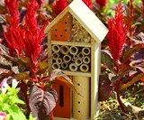 Ladybug, Bee & Butterfly House