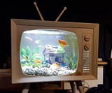 Wooden TV Aquarium