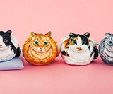Cat Toiletry Bag & Organizer
