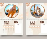 Cat Balls Calendar