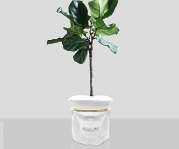 Monkey Planters Monkey Planters