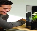 EcoQube Air Desktop Greenhouse