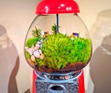 Vintage Gumball Machine Terrarium