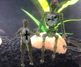 Citizen Bones Humanoid Fishing Lures