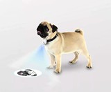 LED Dog Projector for Dog Collars