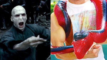 Lord Voldemort - 26-Pound Gummy Python Lord Voldemort - 26-Pound Gummy Python
