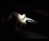 Luminid Touch Light-Up Cable Luminid Touch Light-Up Cable