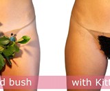Christmas Tree Kitty Carpet - Reusable Crotch Wig