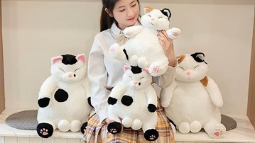 Unneutered Cat Stuffed Animal Unneutered Cat Stuffed Animal
