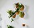Noku Canvas Modular, Self-Watering Planter Noku Canvas Modular, Self-Watering Planter