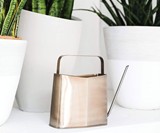 Modern Sprout Watering Can