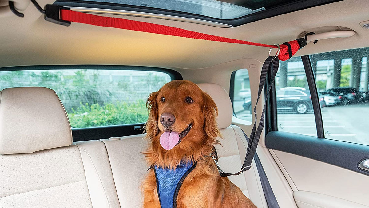Happy Ride Backseat Dog Zipline Happy Ride Backseat Dog Zipline