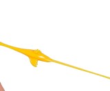 Rubber Chicken Slingshots