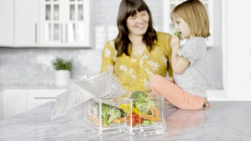 Stay-Fresh Countertop Vegetable Storage House Stay-Fresh Countertop Vegetable Storage House