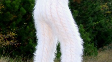 Mohair Pants Mohair Pants