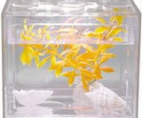 Stackable Building Brick Betta Fish Tank