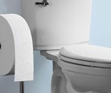Charmin Forever Roll