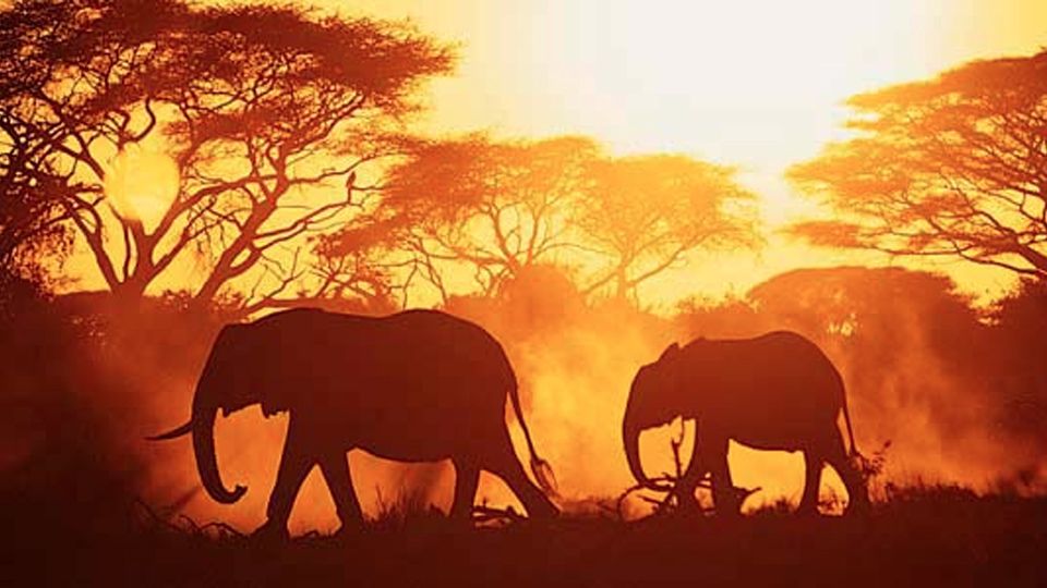 Private Jet Tour of Africa Private Jet Tour of Africa