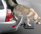 Twistep - Truck or SUV Hitch Step for Dogs