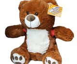 BooBuddy Interactive Ghost Hunting Bear