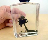 Ferrofluid Bottle