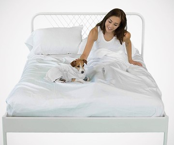 Sheets & Giggles Eucalyptus Lyocell Sheets Sheets & Giggles Eucalyptus Lyocell Sheets