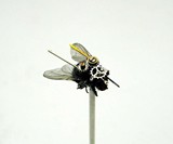 Steampunk Insects