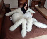 Giant Stuffed Tarantula