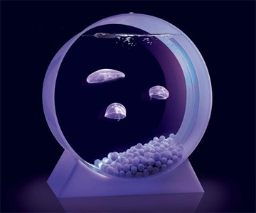 Pet Jellyfish Tank Pet Jellyfish Tank