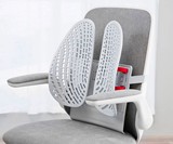 Leband Lumbar Back Support for Office Chairs
