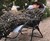 Cocoon Sleep Sack Cocoon Sleep Sack