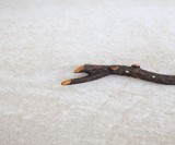 Messerast Knife Holders