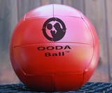 OODA Ball Free Weight Punching Bag