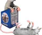 Office Possum