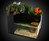 Fin to Flower Aquaponics System Fin to Flower Aquaponics System