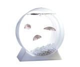 Pet Jellyfish Tank