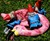 Zombie Gnomes: Bye Bye Birdie