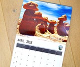 Nature's D*ck Pics 2018 Wall Calendar