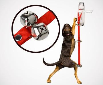 Dog Doorbells for Housebreaking Your Dog