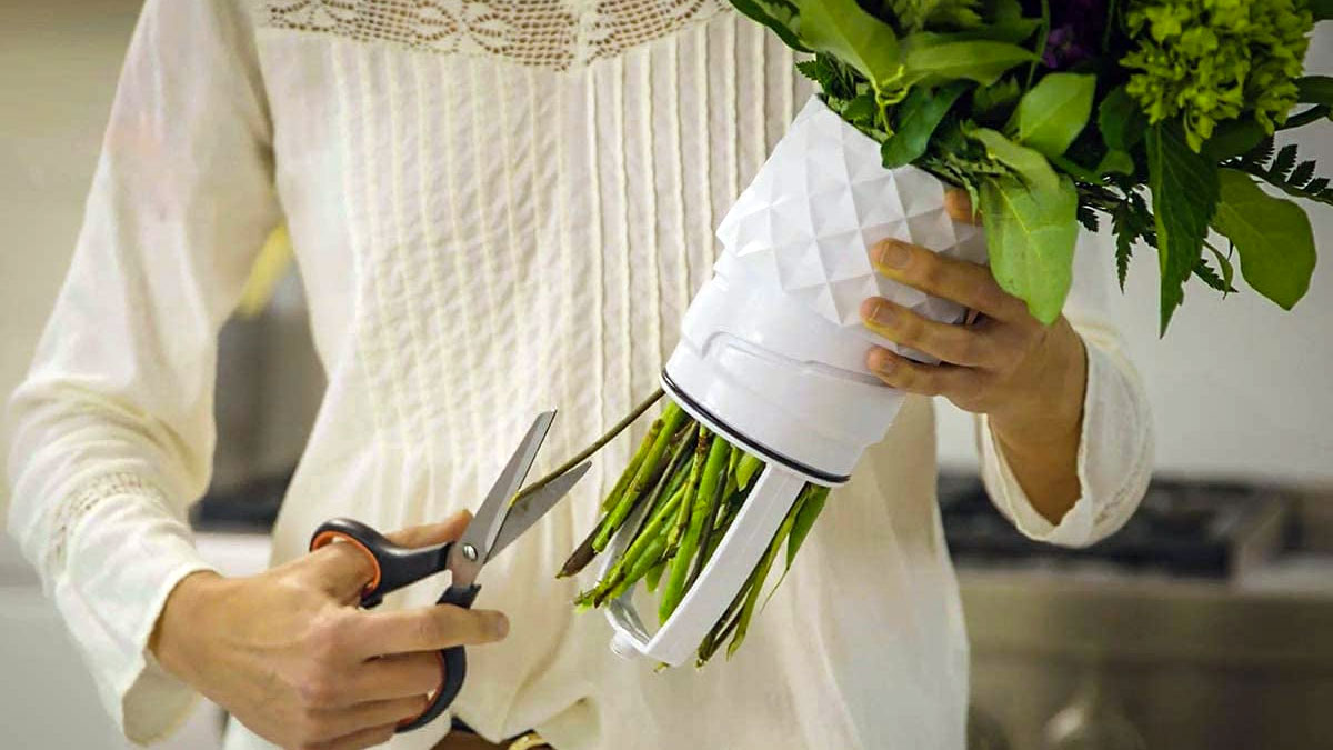 Amaranth Vase Amaranth Vase
