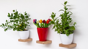 Screw-In Wood Floating Shelves Screw-In Wood Floating Shelves
