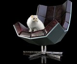 Villain Chair with Cat