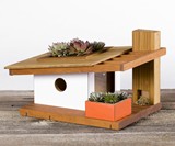 Modern Birdhouses