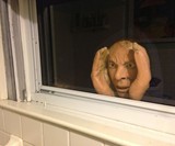 Peeping Creeper Prank Prop